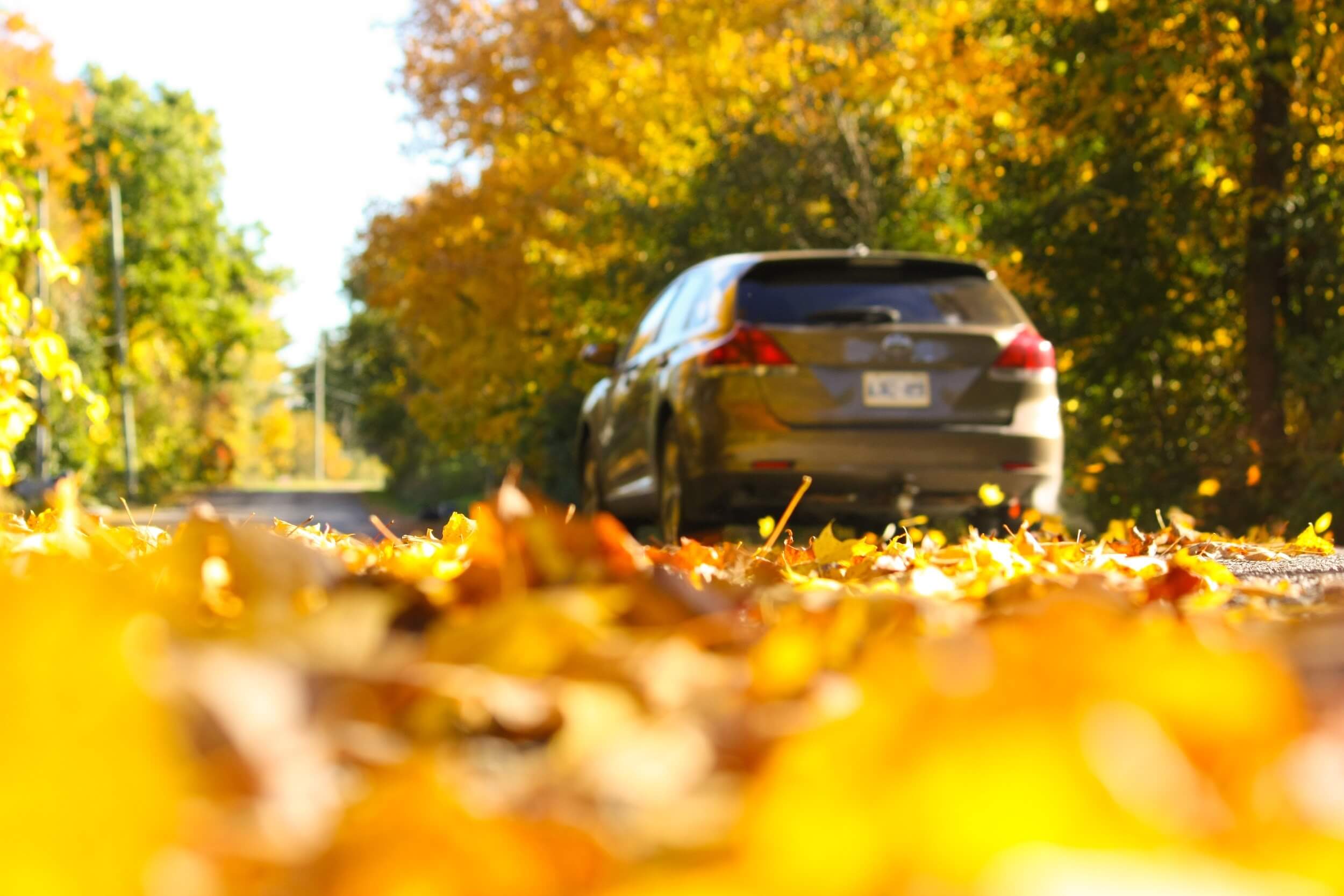 A car driving in autumn